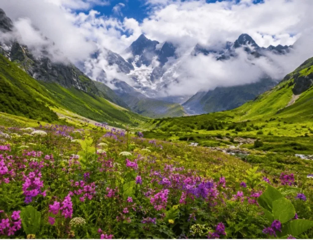 Valley of Flowers Trek